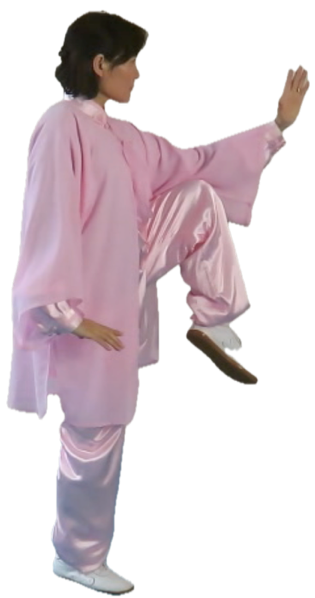 Angela's Tai Chi School